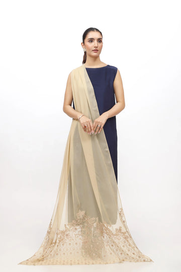 Chinyere Accessories - Embellished Chiffon Beige Dupatta | Fall Winter